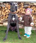 RENELTI - privátně